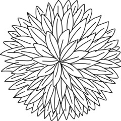 Tree plan hand drawn sketch icon top