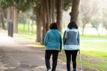 Fototapeta premium friends on an early morning stroll in the park