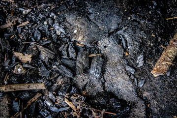 extinguished campfire charcoal