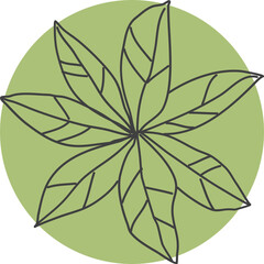 Tree plan hand drawn sketch icon top