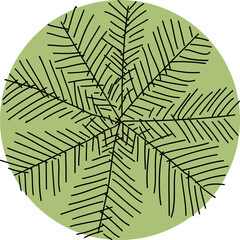 Tree plan hand drawn sketch icon top