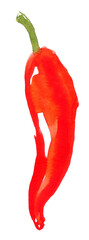 Watercolor painting of Hot red pepper, seasoning, food