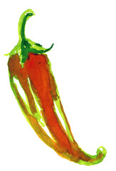 Watercolor painting of Hot red pepper, seasoning, food