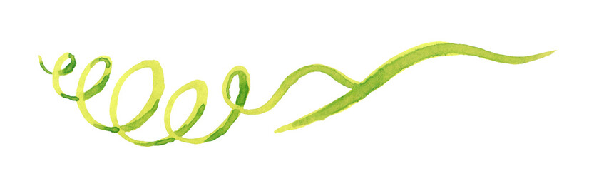 Watercolor, hand drawn vintage illustration of cucumber