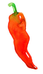 Watercolor painting of Hot red pepper, seasoning, food