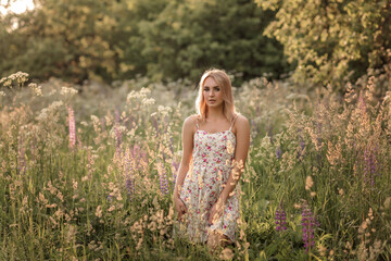 Fototapeta na wymiar a girl in a sundress stands in a field of flowers in the evening at sunset