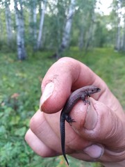 crab in hand