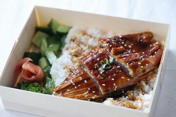 Japanese food eel grilled with rice Unagi don