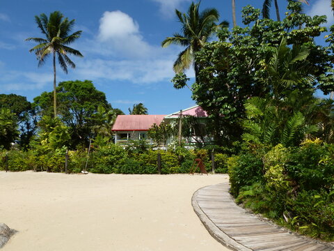 Colourful Fijian house behind tropical vegetation under a blue tropical sky, Viti Levu, Fiji