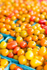 Tomatoes in a close-up shot.