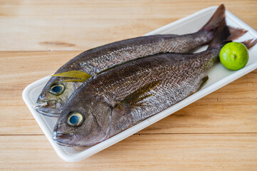 パックに入ったイサキ