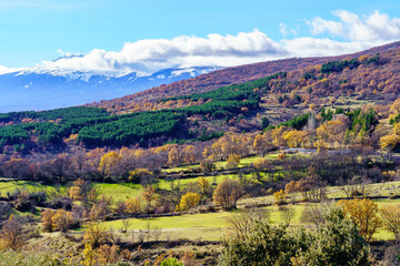 Fototapeta na wymiar Snowy mountains and green forest with vivid fall colors. Guadarrama Madrid.