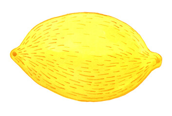 Slice of lemon, watercolor illustration vegetarian foods