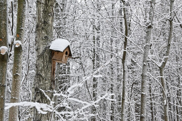Wooden birdhouse in a winter park, medium plan with snow-covered trees