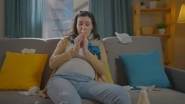 pregnant young woman gets sick sneezes and gets sick sitting on the couch at home