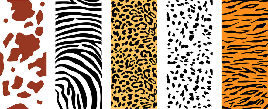 Set of animal skin textures. Vertical vector pattern. Dalmatian, leopard, cow, tiger and zebra pattern