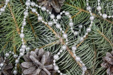 Christmas background of spruce branches, cones, decorations for the Christmas tree in the form of silver beads covered with snow