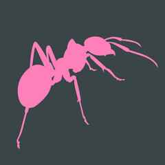 Ant Animal Silhouette Vector