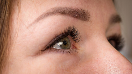 Fototapeta na wymiar Close-up portrait of a woman. Without makeup. Green eyes.
