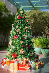 Gift boxes and Christmas trees decorated with colorful ornaments.