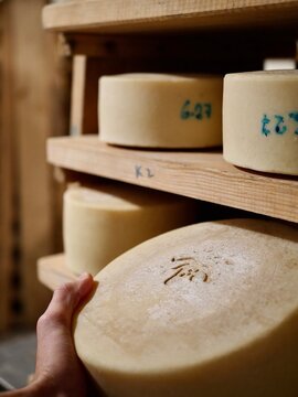 Cave d'affinage du fromage Ossau Iraty au Pays basque
