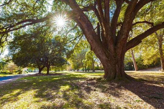 Cloverdale Park, Montgomery, Alabama