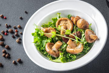 mushroom salad mix pickled mushrooms healthy meal food diet snack on the table copy space food background rustic