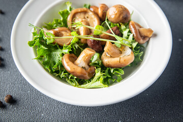 mushroom salad mix pickled mushrooms healthy meal food diet snack on the table copy space food background rustic