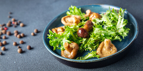 mushroom salad mix pickled mushrooms healthy meal food diet snack on the table copy space food background rustic