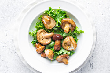 mushroom salad mix pickled mushrooms healthy meal food diet snack on the table copy space food background rustic