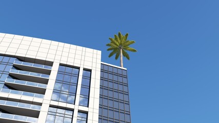 one palm tree on the roof building