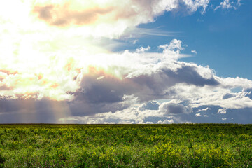 Bright beautiful sky with clouds and sunspots of light over a beautiful green field, summer landscape.