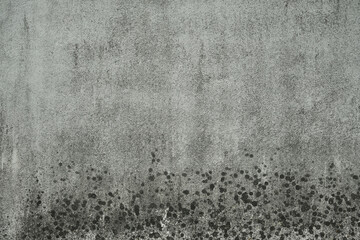 Old cement wall texture