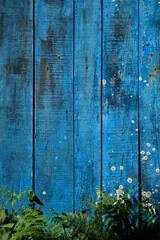 Blue distressed wooden wall