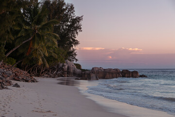 Typical Seychelles sunset landscape. A palm tree hangs over a snow-white beach. In the distance, along the perfecet beach, large rocks half-sink into the turquoise water. Dream beach in the evening.