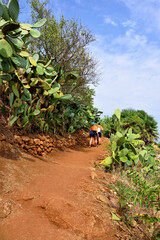 coastal path in the zingaro natural reserve sicily italy