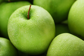 Ripe fruit of a green apple in close-up with dew drops.