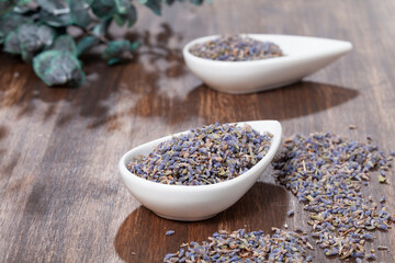 Lavandula Angustifolia - Dried flowers and seeds of the lavender plant