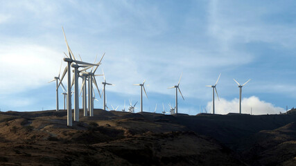 Farm of wind power generators on Maui
