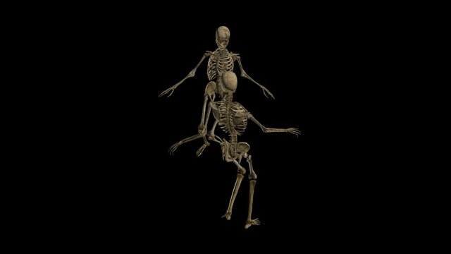 a pair of skeletons dancing