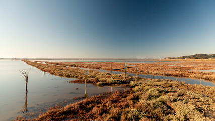 Diaccia Botrona - Maremma