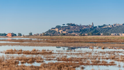 Diaccia Botrona - Maremma