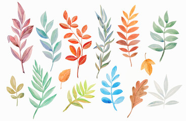 An assortment of twigs with leaves of different shapes and shades on a white background. Watercolor drawing.