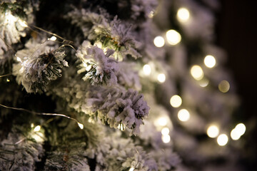 Sztuczne świąteczne drzewka oprószone śniegiem i oświetlone światełkami choinkowymi - obrazy, fototapety, plakaty