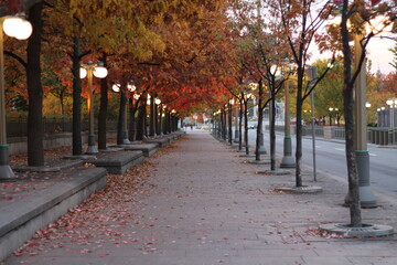 Fall day in Ottawa, Canada