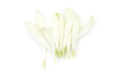 Naklejka premium White flower petal on empty white background with copy space . Light and shadows minimalism style template . Top view.