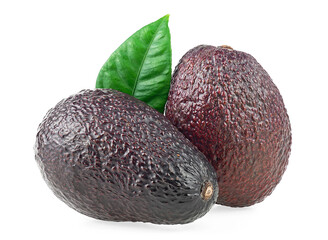 Fresh organic avocado with green leaf isolated on a white background
