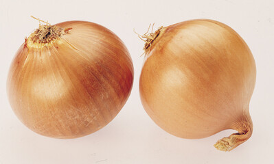 Fototapeta premium onion