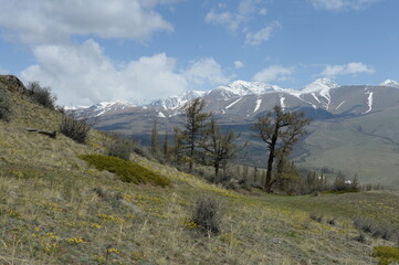 Mountain landscape near the North Chui ridge in the Kosh-Agach district of the Altai Republic. Russia
