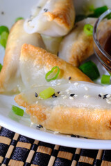 Fried Asian Potstickers Appetizer